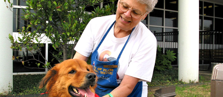 Special Housing Needs