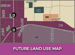 Future Land Use Map