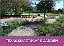 Texas Smartscape Garden