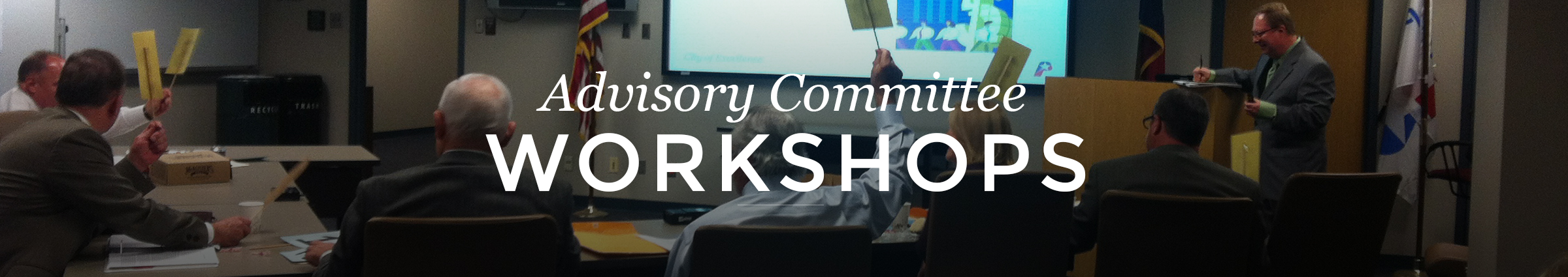 Advisory Committee Workshops