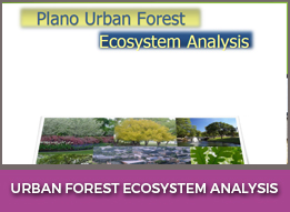 Urban Forest EcoSystem Analysis